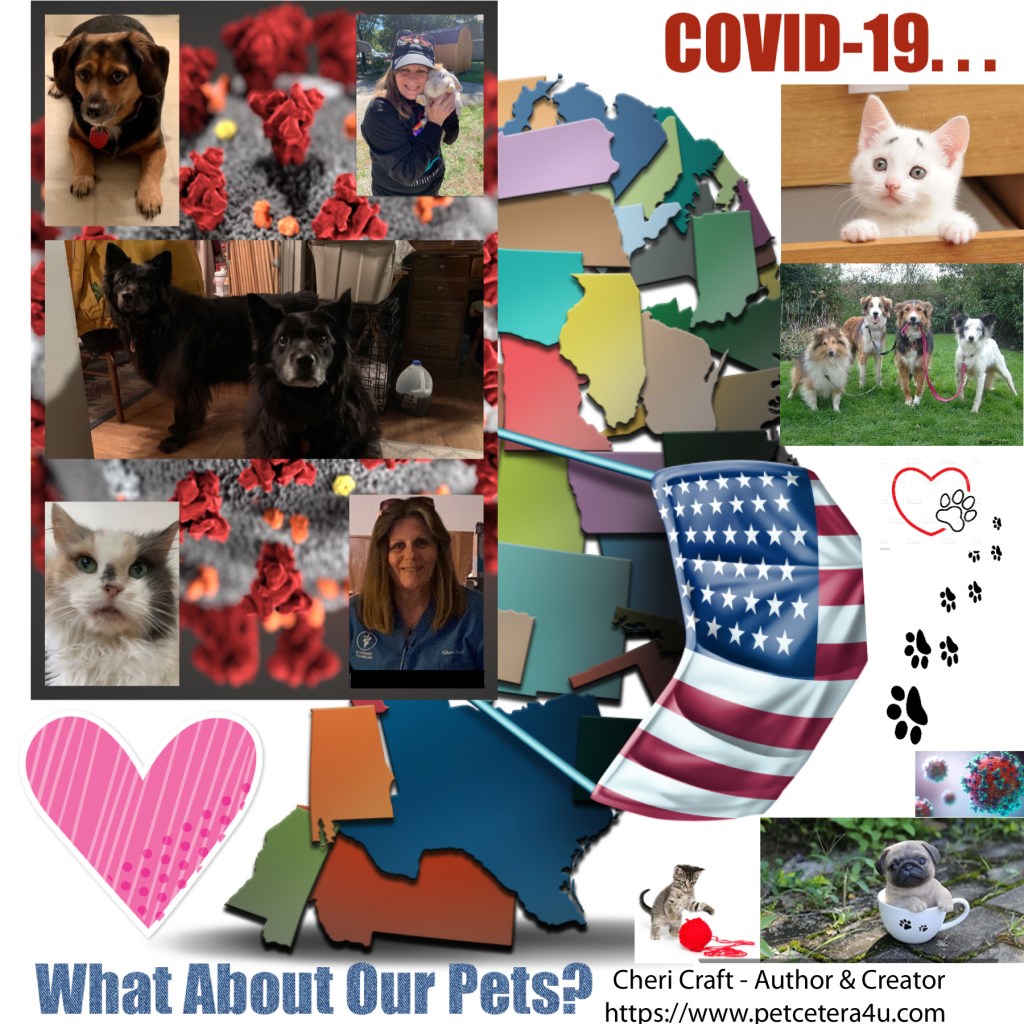 This image has an empty alt attribute; its file name is collage.jpg